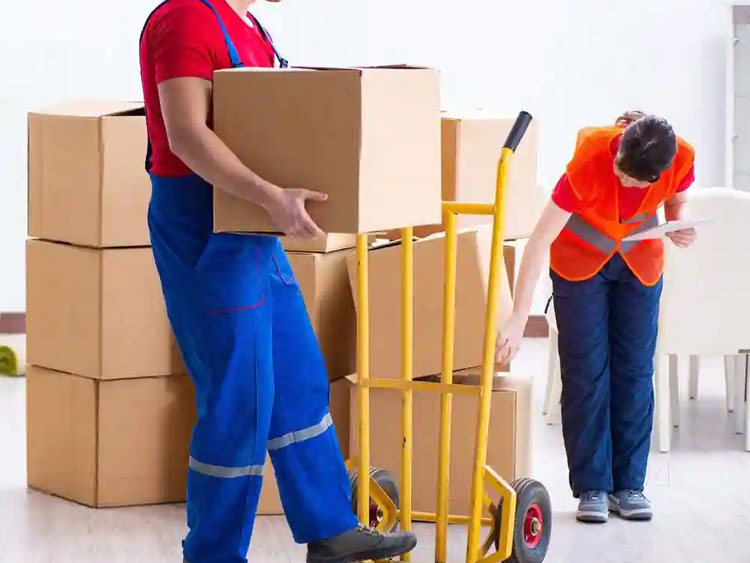 Top Packers And Movers All India Services